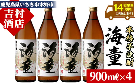 芋焼酎「海童」900ml ×4 25度 濵田酒造 人気 の 鹿児島 本格芋焼酎! 芳醇軽快【A-1306H】