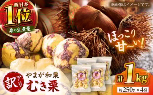 【先行予約】 【訳あり】 むき栗 約1kg（約250g×4袋） 【すみれファーム】 [ZEP062]