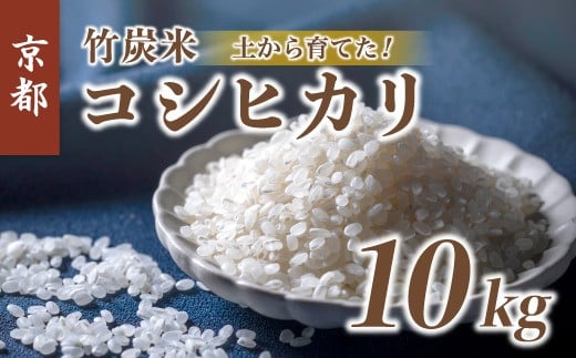 【新米】 特別栽培米 竹炭米 白米 10kg こしひかり コシヒカリ お米 米 おこめ 精米 人気 おすすめ 京都府  1536074 - 京都府京都府庁