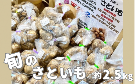 旬の野菜 さといも 2.5kg | 里芋 新鮮 野菜 やさい 特産 名産 産地直送 新潟県 五泉市 まるっと五泉プロジェクトFunSpace株式会社