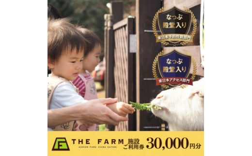 BBQやキャンプなども楽しめる複合施設 THE FARM利用券30,000円分【1435763】 1063737 - 千葉県香取市