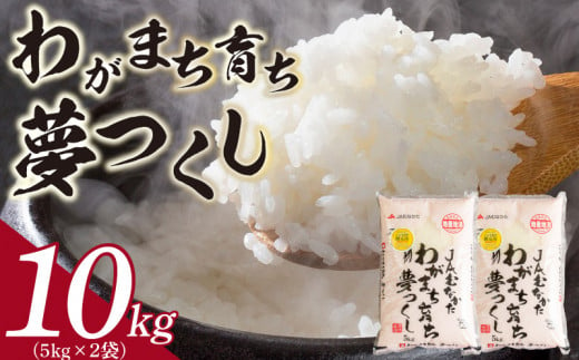 【令和6年産 新米】福岡産 夢つくし 5kg×2_米 お米 精米 福岡 限定生産 夢つくし 10kg 5kg×2 白米 ご飯 おにぎり 食品 ふっくら 甘い 粒がしっかり 南国フルーツ株式会社 お取り寄せ お取り寄せグルメ 福岡県 久留米市 送料無料_Gr020 336343 - 福岡県久留米市