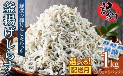 釜揚げ しらす(訳あり)1.0kg(200g×5P)【1月発送予定】 1190817 - 香川県さぬき市