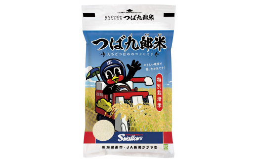 令和7年産 厳選コシヒカリ つば九郎米 白米8kg