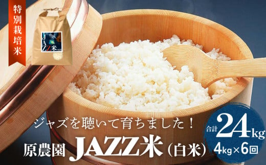 原農園 JAZZ米 (白米) 白米 ４kg ６回定期便 JAZZ 有機栽培 特別栽培米 堆肥 光合成細菌 有効微生物 アートテン農法 抗酸化農法 有効微生物農法 きりかぶ山 地力 白米 環境 地域特産 自然栽培 完熟堆肥 健康 1512641 - 大分県玖珠町