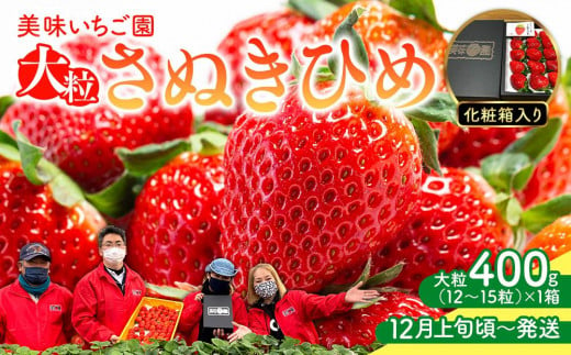 【12月上旬頃～発送】いちご園「さぬきひめ」化粧箱入り 400g 595962 - 香川県さぬき市