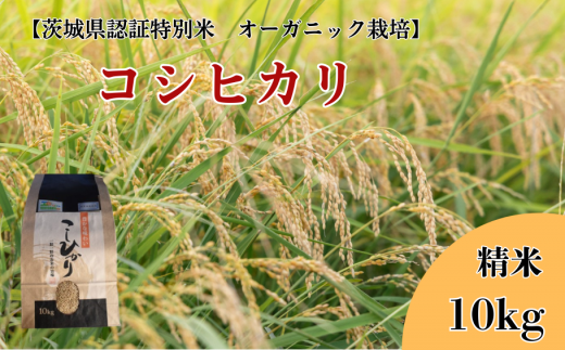 コシヒカリ　精米10kg【茨城県認証米／オーガニック栽培】 304685 - 茨城県利根町