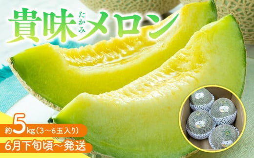 【6月下旬頃～発送】貴味(たかみ)メロン 約5kg 593858 - 香川県さぬき市