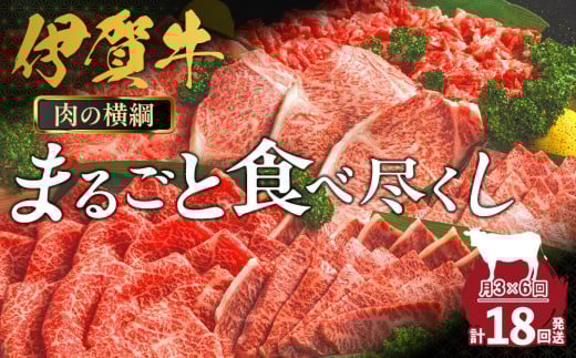 【月3×6回　計18回発送】肉の横綱　伊賀牛まるごと食べ尽くし 896429 - 三重県伊賀市