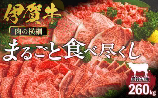 肉の横綱　伊賀牛まるごと食べ尽くし 676740 - 三重県伊賀市