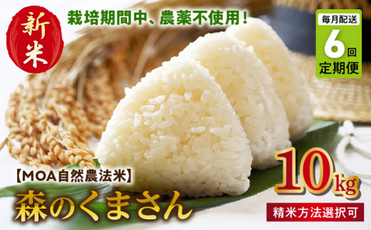 T6-70-271_5　先行予約【定期便6回】＼☆新米☆／カワノ農園　　MOA自然農法米「森のくまさん」玄米10kg 1088769 - 熊本県宇土市