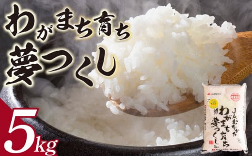 【令和6年産 新米】福岡産 夢つくし 5kg_米 お米 精米 福岡 限定生産 夢つくし 5kg ご飯 白米 おにぎり お弁当 食品 ふっくら 甘い 粒がしっかり 福岡産 南国フルーツ株式会社 お取り寄せ お取り寄せグルメ 福岡県 久留米市 送料無料_Gr019 336353 - 福岡県久留米市