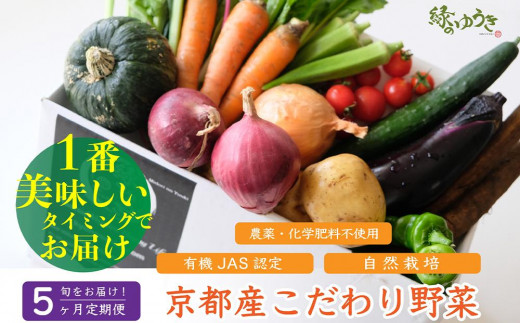 ＜5か月定期便＞2026年発送【緑のゆうき】購入された野菜の売上の1％が、社会貢献に 京都産のこだわり野菜（有機野菜、栽培期間中農薬・化学肥料不使用など）を 美味しいタイミングで収穫したセット 1393783 - 京都府京都市