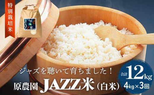 原農園 JAZZ米 (白米) 白米 ４kg ３回定期便 JAZZ 有機栽培 特別栽培米 堆肥 光合成細菌 有効微生物 アートテン農法 抗酸化農法 有効微生物農法 きりかぶ山 地力 白米 環境 地域特産 自然栽培 完熟堆肥 健康 1512640 - 大分県玖珠町