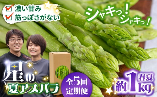 【5回定期便】【星のアスパラ】春＆夏 の グリーン アスパラガス 約1kg / アスパラ 春野菜 野菜 / 南島原市 / ほしのYA [SEY017]