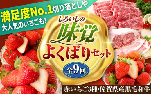 【全9回定期便】しろいしの味覚よくばりセット（赤いちご3種と佐賀県産黒毛和牛） [IZZ022]