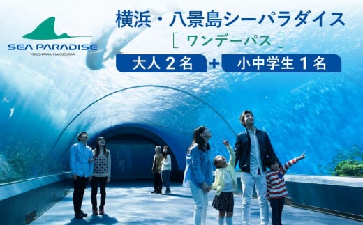 横浜・八景島シーパラダイス　ワンデーパス（水族館4施設＋アトラクション）大人2名さま＋小中学生1名さま 677012 - 神奈川県横浜市