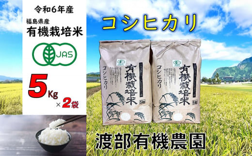 【令和6年産】 【11月から順次発送】南相馬 コシヒカリ 5kg×2袋 5キロ×2袋 JAS 有機米 精米 白米 玄米 コメ ブランド米 銘柄 モチモチ ツヤ 福島 福島県産 送料無料 ふるさと納税 オンライン申請【68001】 1512787 - 福島県南相馬市