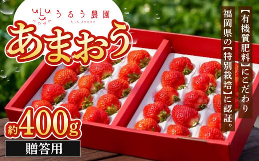 贈答用 あまおう 約400g【2025年1月下旬～2025年3月下旬順次発送予定】いちご イチゴ 苺 フルーツ 果物 福岡県産 1513432 - 福岡県北九州市