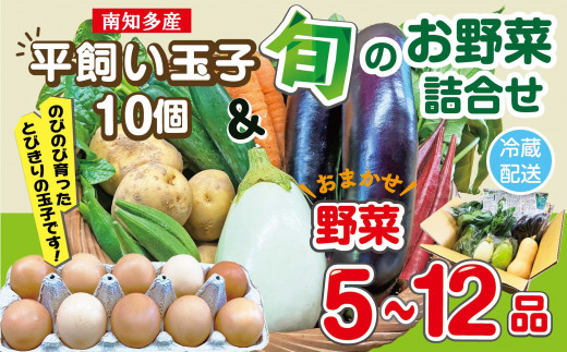 [容量が選べる] 野菜セット(5~12品目)&平飼い玉子 10個 セット 旬 季節 卵 南知多産 詰め合わせ 農薬・化学肥料不使用 農家おまかせ 料理 とりのさと農園 愛知県 南知多町