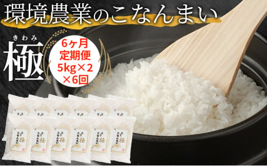 【6ヶ月定期便】環境農業のこなんまい 極10kg [№5748-0460]