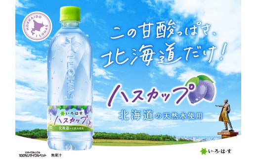 い・ろ・は・す ハスカップ 540ml PET×48本 いろはす 北海道限定 フレーバー ミネラルウォーター 飲料水 ローカロリー ペットボトル 計48本 水 飲料 札幌工場製造 札幌市 679869 - 北海道札幌市