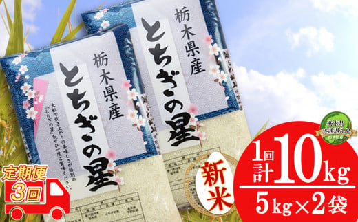 【定期便3回】献上米 特Aを受賞! とちぎの星 10kg （5kg×2袋） | 白米 精米 お米 コメ ブランド米 栃木県 特産品 栃木県共通返礼品 栃木県産 下野市 送料無料 1543944 - 栃木県下野市