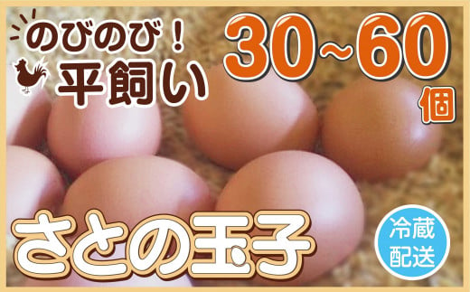 玉子 30〜60個 冷蔵 無添加 タンパク質 濃厚 卵 たまご 鶏卵 新鮮 ご飯 家庭用 平飼い とりのさと農園