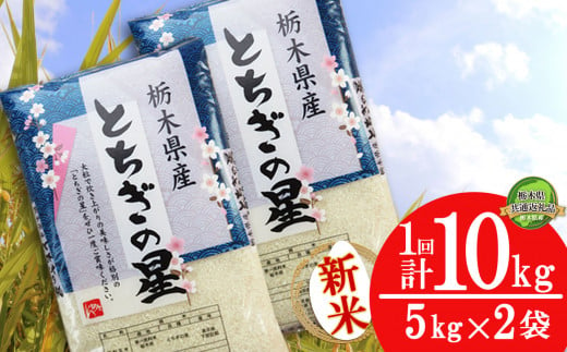 特Aを受賞! とちぎの星10kg（5kg×2袋） | 白米 精米 お米 ブランド米 栃木県 特産品 栃木県共通返礼品 栃木県産 下野市 送料無料