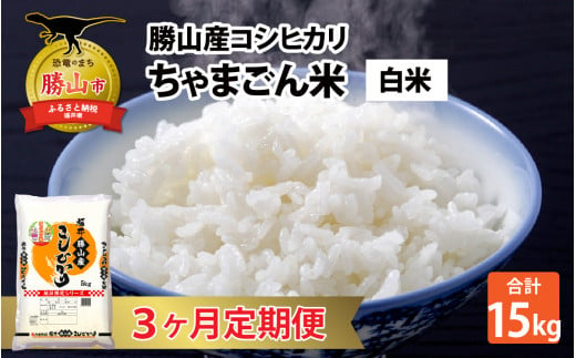 【令和6年産 新米】【定期便3回】勝山のお米 コシヒカリ 精米 5kg（計15kg） [D-010017] 1519900 - 福井県勝山市