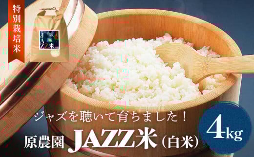 《先行予約》令和7年度産 原農園 JAZZ米 (白米)  4kg 3種の中からいずれか1種お届け ひとめぼれ ヒノヒカリ にこまる JAZZ 有機栽培 特別栽培米 堆肥 光合成細菌 有効微生物 アートテン農法 抗酸化農法 有効微生物農法 きりかぶ山 地力 白米 環境 地域特産 自然栽培 完熟堆肥 健康 804954 - 大分県玖珠町