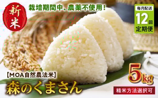 T12-70-270_1　先行予約【定期便12回】＼☆新米☆／カワノ農園　MOA自然農法米「森のくまさん」白米5kg 1088760 - 熊本県宇土市