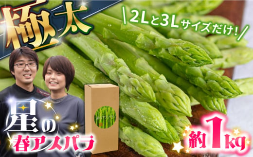 【星のアスパラ】希少！太物のみ 3L・2Lミックス 春のグリーンアスパラガス 約1kg / アスパラ 春野菜 野菜 / 南島原市 / ほしのYA [SEY018]