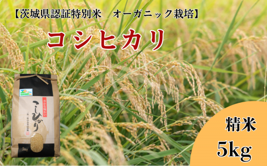 コシヒカリ　精米5kg【茨城県認証米／オーガニック栽培】 304687 - 茨城県利根町