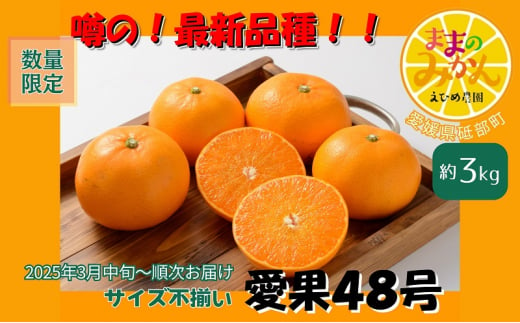 【新品種登場！】＜産地直送＞【数量限定】みかん「愛果48号」　サイズ不揃い3キロ　家庭用 2025年3月中旬頃～順次発送【訳あり ふぞろい 甘い みかん 愛媛】[№5310-0248]