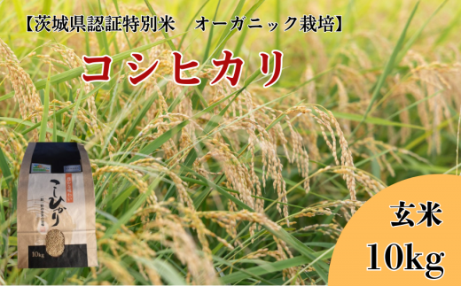 コシヒカリ　玄米10kg【茨城県認証米／オーガニック栽培】 304684 - 茨城県利根町