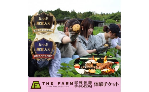 THE FARMで収穫体験&採れたて新鮮野菜をBBQで食べる贅沢な食体験(2名様)【1422348】 994023 - 千葉県香取市