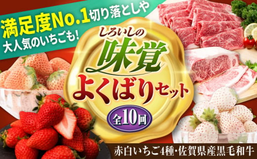 【全10回定期便】しろいしの味覚よくばりセット（赤いちご4種と佐賀県産黒毛和牛） [IZZ024]