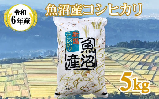 KY15P405 【共栄農工社】 令和6年産 魚沼産コシヒカリ 5kg 白米 魚沼 米 1513378 - 新潟県小千谷市