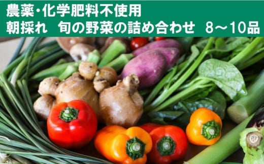 【栽培期間中農薬・化学肥料不使用】土佐の太陽をいっぱいに浴びた旬の野菜セット「小」【土佐野菜】 [ATBA001] 454227 - 高知県高知市