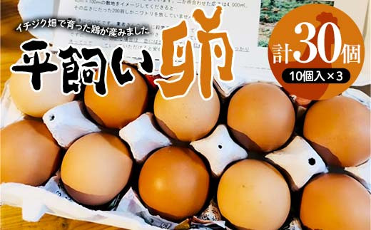 イチジク畑で自然と共に育ったニワトリが産んだ平飼い卵10個入×3パック 卵 鶏卵 濃厚 自然飼料 広々飼育