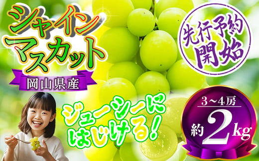 2025年先行予約】岡山県産 シャインマスカット晴王 約2kg（3房～5房） 訳あり 優品 / 家庭用 岡山 岡山県 晴王 はれおう 人気 葡萄  ぶどう 果物 特選 フルーツ 訳あり ぶどう 先行予約 2kg 特選 2.0 2キロ 2房 3房 4房 【202406_感想が良い】果物・野菜  わけあり 大粒 ...