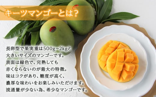 沖縄県今帰仁村のふるさと納税 冷凍マンゴー（キーツ）
800g（400g×２）