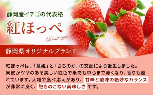 静岡県静岡市のふるさと納税 いちご ほっぺたが落ちる 紅ほっぺ  4パック 果物 イチゴ 苺 おやつ ギフト 贈答品 お祝い プレゼント 国産 フルーツ くだもの