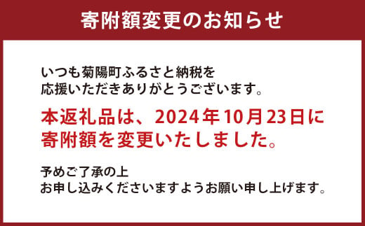 台数限定】 デジタル 一眼カメラ α7 III (ILCE-7M3) ソニー SONY カメラ ボディ フルサイズ ミラーレス -  熊本県菊陽町｜ふるさとチョイス - ふるさと納税サイト