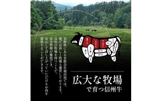 長野県山ノ内町のふるさと納税 【りんごで育った信州牛】焼肉用 約900g 【 牛肉 信州牛 焼肉 黒毛和牛 A5 肉 お肉 牛 和牛 焼き肉 BBQ バーベキュー ギフト A5等級 冷蔵 長野県 長野 】