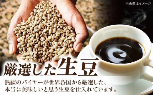 コーヒー豆  スペシャルティコーヒー おすすめ2種セット 各500g 