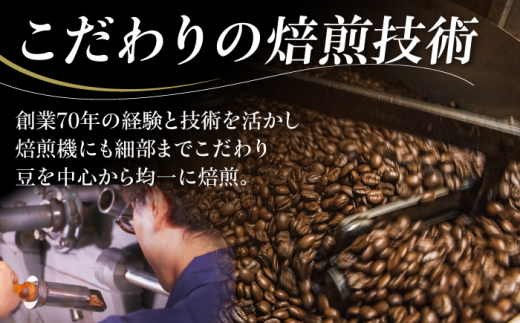 コーヒー豆  スペシャルティコーヒー おすすめ2種セット 各500g 