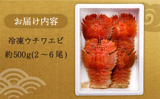 平戸ウチワエビだけを贅沢にお届け