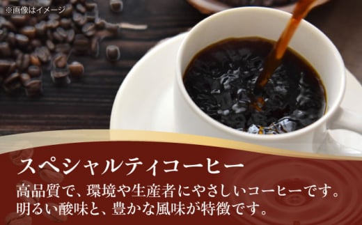 コーヒー豆  スペシャルティコーヒー おすすめ1種 500g 